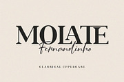 ROLATE Ligature Serif Typeface, a Serif Font by Alfinart (Thumbnail 6 of 10)