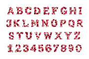 Roses, a Symbol Font by Loudoun Design Co. (Thumbnail 2 of 6)