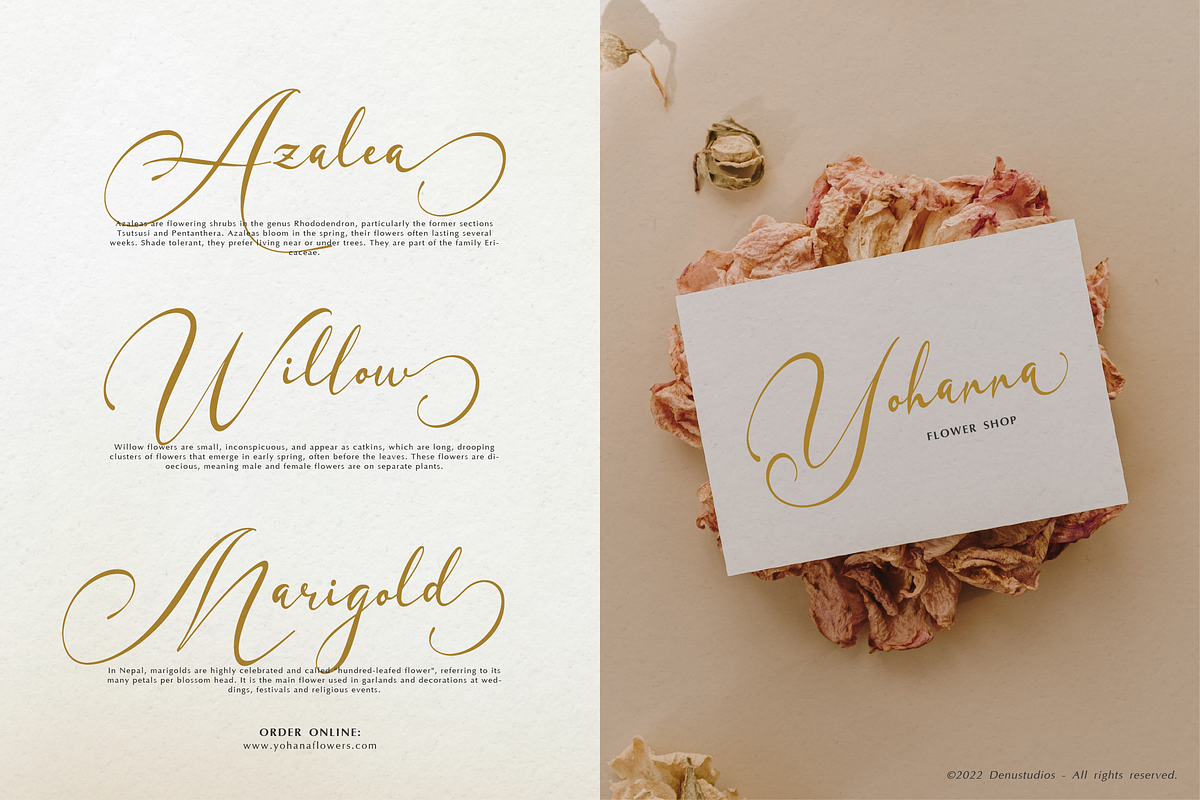 Sammybliss | Modern Calligraphy, a Script Font by Denustudios (Photo 3 of 12)