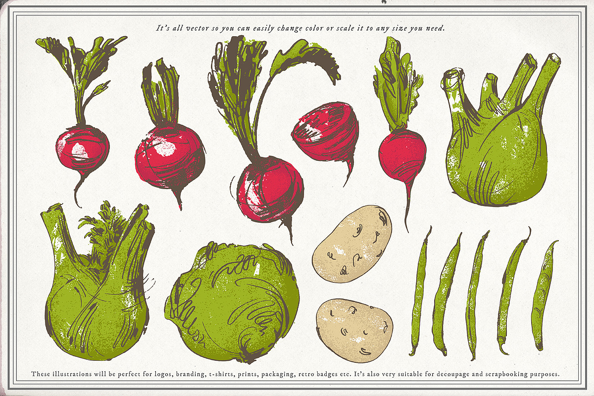 Vegetable collection 1, an Object Graphic by Siosay (Photo 7 of 11)