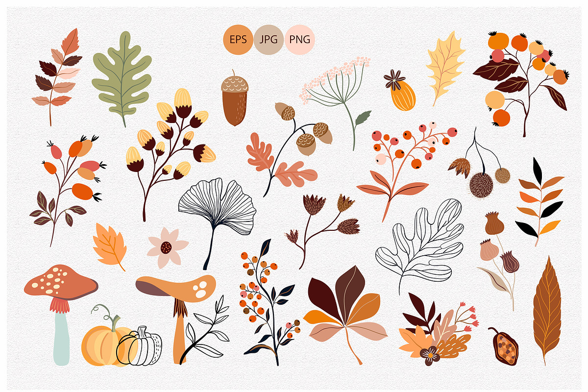 Autumn botanicals collection, a Decorative Illustration by Letto studio (Photo 2 of 7)