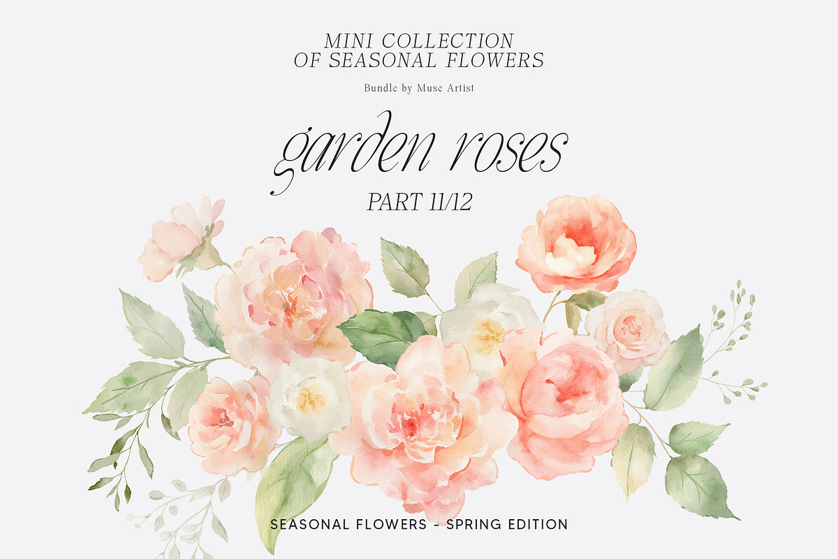 SPRING BOX Watercolor Bundle 400+, a Decorative Illustration by Muse Artist (Photo 84 of 99)