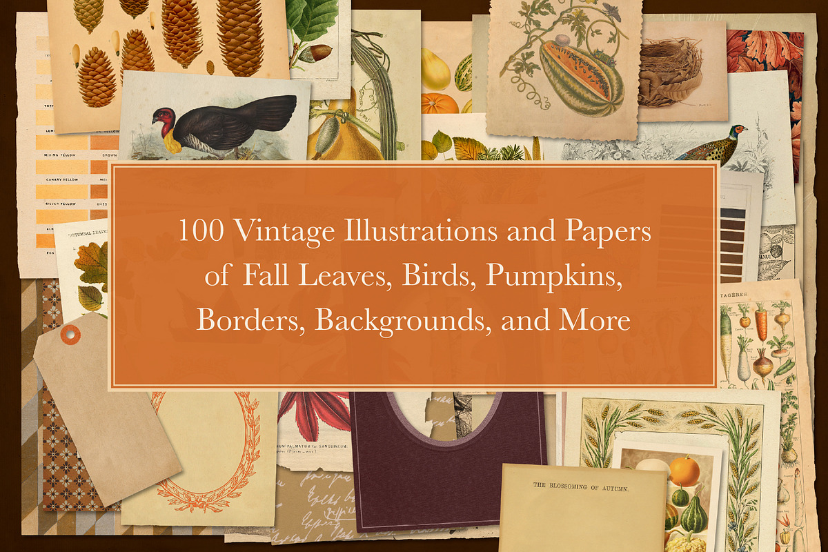 100 Vintage Autumn Ephemera, an Object Graphic by The Object Atlas (Photo 2 of 10)