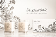 The Digital Florist Vintage Garden, an Illustration by Sophia J Caldwell (Thumbnail 17 of 20)
