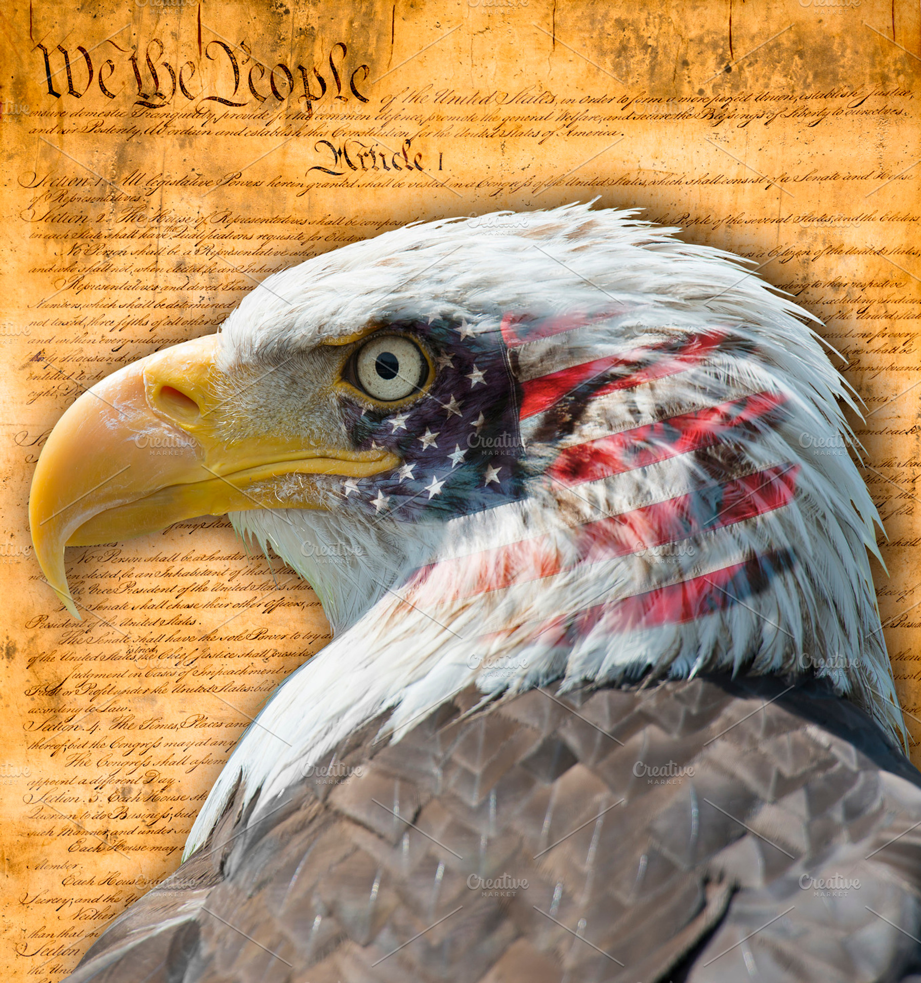 American flag and symbols containing america, american, and flag, a School & Education Photo by Angel Simon Photography