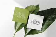 Gamory Typeface, a Serif Font by alit design (Thumbnail 6 of 21)