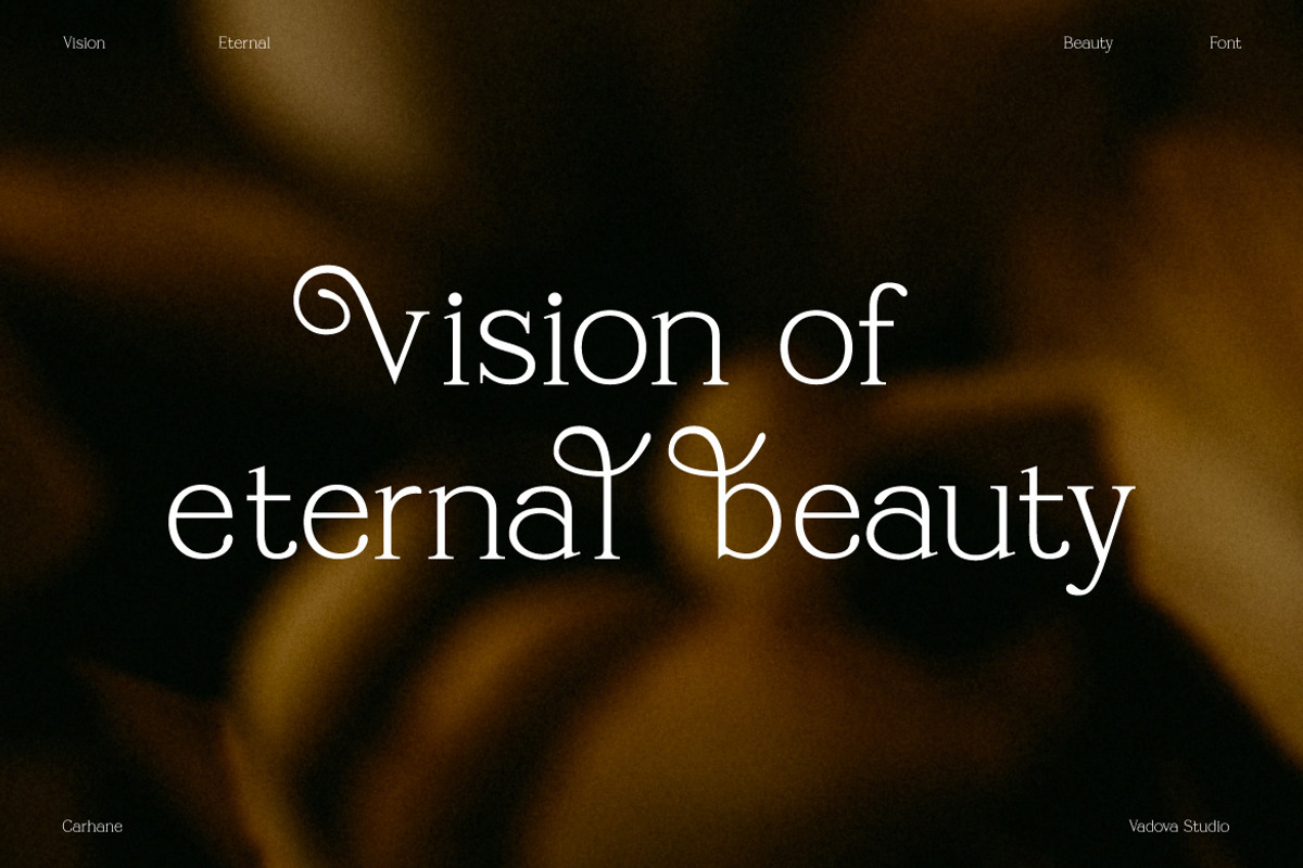 Carhane Modern Ligature Serif, a Serif Font by Vadovastd (Photo 4 of 7)