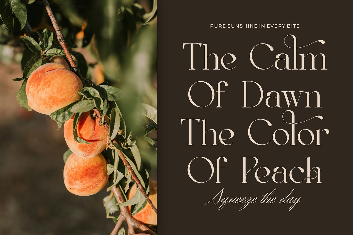 Belyga || Modern Classy Serif Font, a Serif Font by Ermedia Studio (Photo 8 of 10)