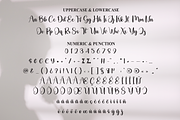 Lady | Script Font, a Handwritten Font by Scratchones (Thumbnail 7 of 9)
