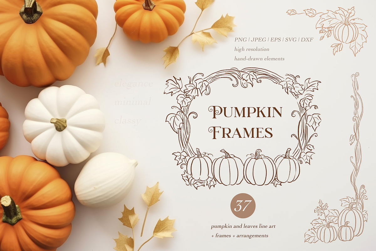 Pumpkin Line Art & Frames, a Decorative Illustration by Backyard Rose (Photo 1 of 13)