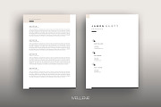 CV / Resume template for MS Word, a Resume Template by Mellene Templates (Thumbnail 2 of 3)