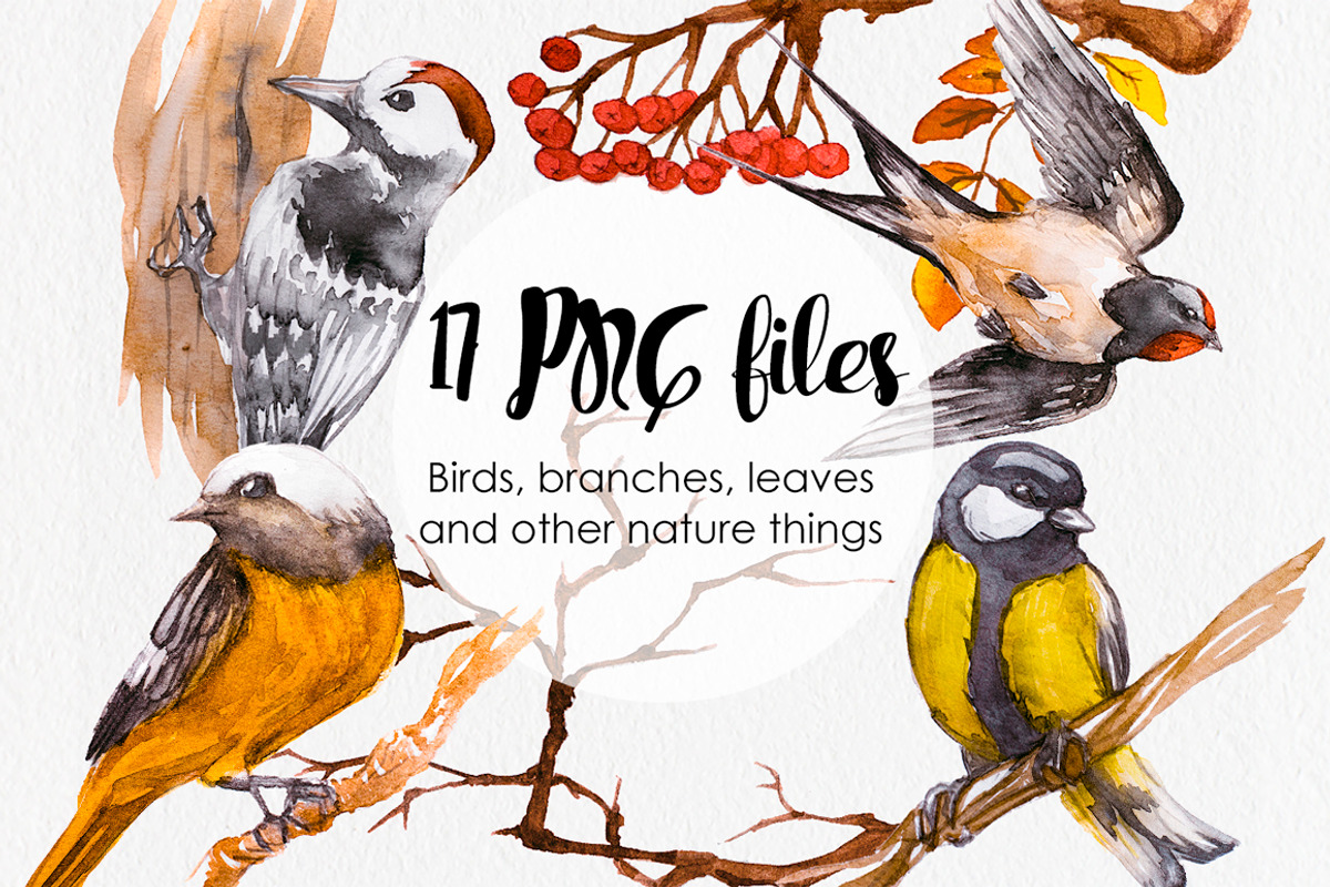 Watercolor Russian Birds, an Animal Illustration by Anna Faun (Photo 2 of 4)