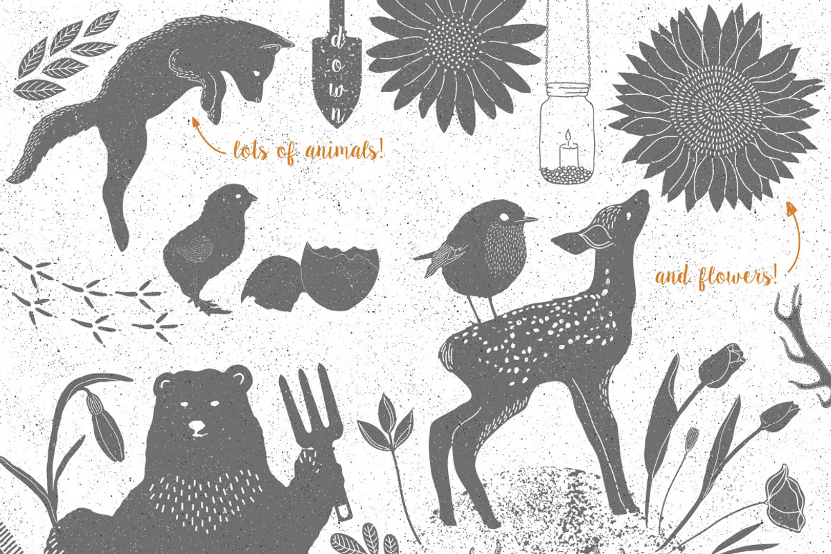 Spring Collection, an Object Graphic by Julia Dreams (Photo 2 of 5)