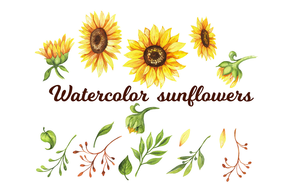 Sunflowers, set of watercolor, a Decorative Illustration by EshaStudio (Photo 4 of 9)