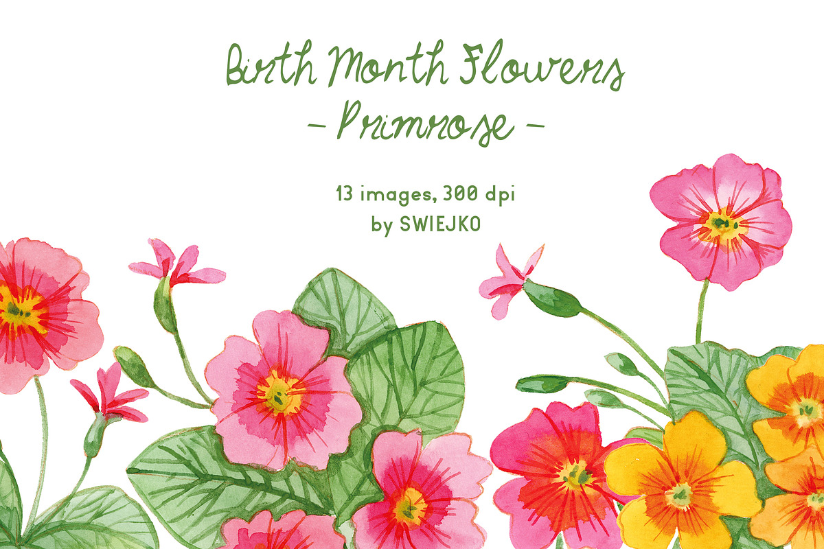 Birth Month Flowers - Primrose, a Decorative Illustration by swiejko (Photo 1 of 12)