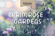 Primrose Gardens a lovely loopy font, a Handwritten Font by Rachel White Art (Thumbnail 22 of 22)