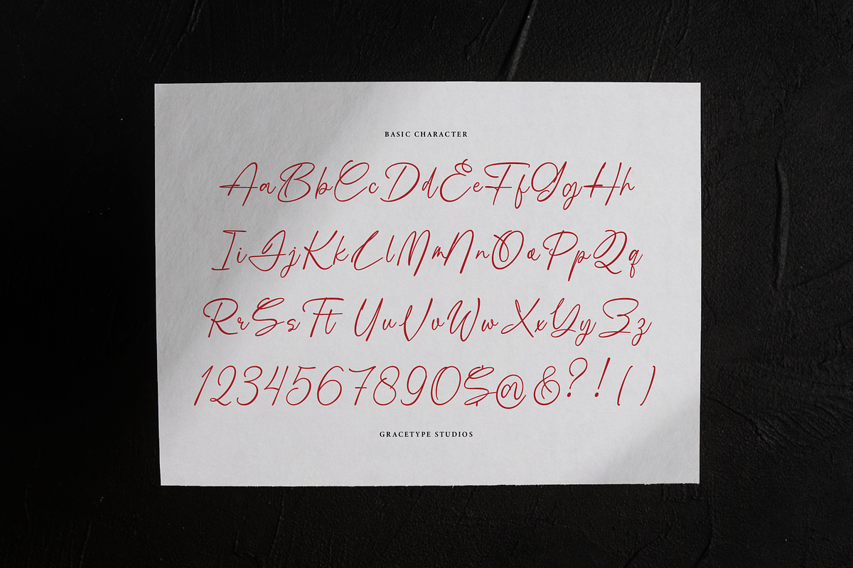 Boudica Perfect | Handwritten Script, a Script Font by gracetype_studio (Photo 10 of 12)