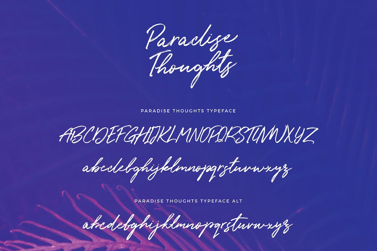 Typographer's Dream Box + 200 Logos, a Script Font by Mats-Peter Forss (Photo 61 of 130)