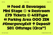 403 FEST, a Sans Serif Font by 403 Type Foundry (Thumbnail 15 of 16)