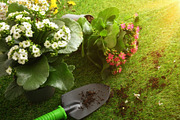 Spring Flowers and Garden Tools on Grass, a Nature Photo by Davizro's Market (Thumbnail 1 of 2)