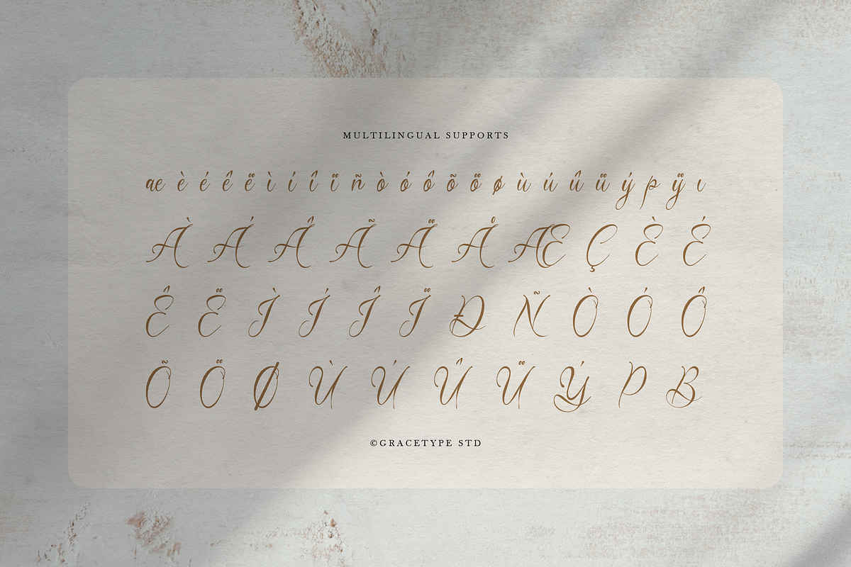 Del Lante Elegant Calligraphy Script, a Script Font by gracetype_studio (Photo 12 of 12)