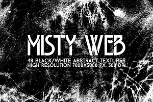 Misty Web