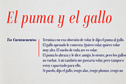 Isabel condensed, a Serif Font by Letritas (Thumbnail 14 of 15)
