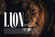 BETHAI - Modern Typface Serif, a Serif Font by AnnofaType (Thumbnail 4 of 8)