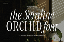Seraline Orchid – A Graceful Modern