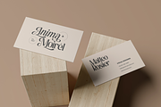 Astella Luxury - Branding Logo Font, a Serif Font by Nirmana Visual (Thumbnail 7 of 16)