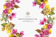 Watercolor Bouganvilleas and Lemons, a Decorative Illustration by ThaismotaCreativeCo (Thumbnail 6 of 11)