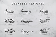 Dilovany a Modern Calligraphy Font, a Script Font by Javatype Studio (Thumbnail 8 of 10)