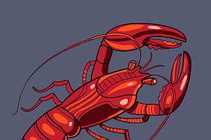 Lobster in vector