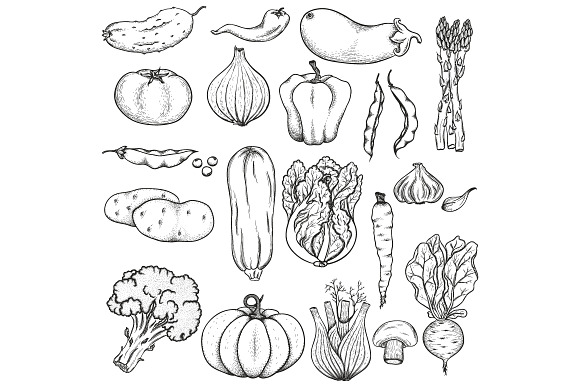 Big collection of vegetables preview 2