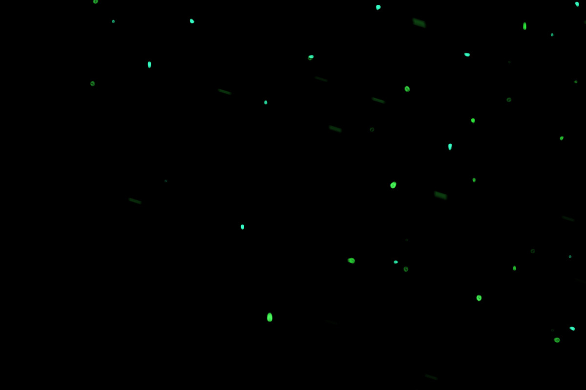 Spark Effex V2 - Spark Effects PNGs, an Object Graphic by Mike Moloney (Photo 5 of 6)