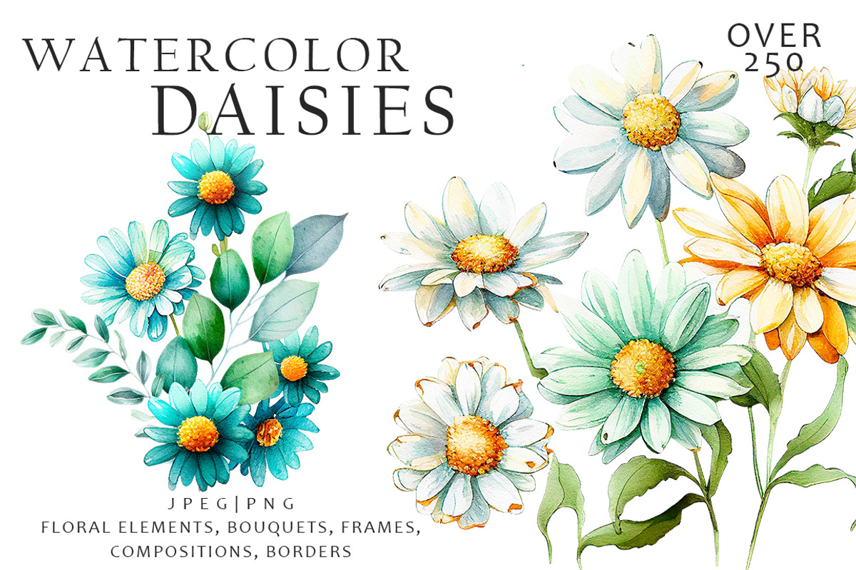 Watercolor Daisies Flowers Clipart, an Object Illustration by Evgeniia (Photo 8 of 8)