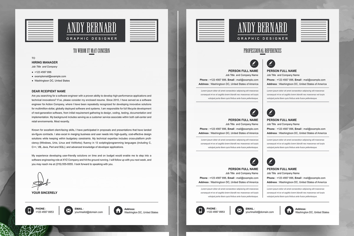 Designer Resume Sample & Design