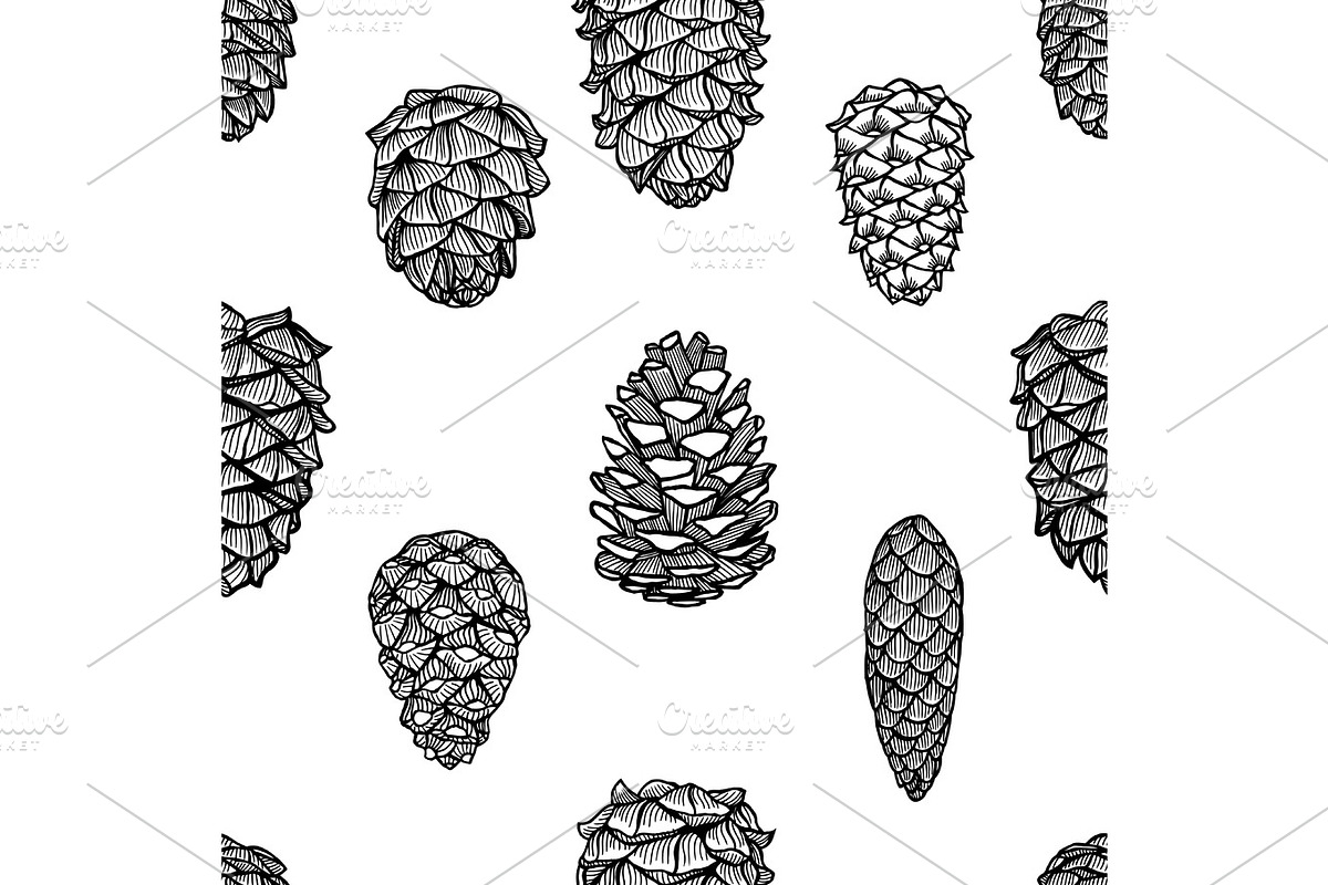 Seamless pattern with pine cones, an Object Graphic by IllustrationArtShop