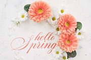 Romantica Caligraphy Modern Font, a Font by RHD Creative Studio (Thumbnail 3 of 9)