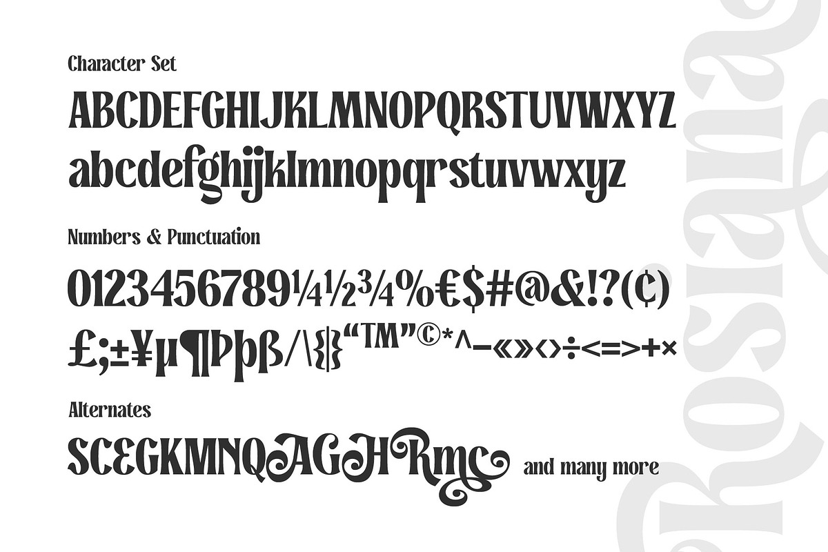Rosiana - Modern Serif, a Serif Font by Arterfak Project (Photo 13 of 13)