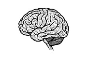 Brain Tree Knowledge Design Bundle, an Illustration by Gaye Art (Thumbnail 24 of 31)
