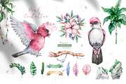 Tropical Wildlife Watercolor set, an Illustration by Ann Art Houze (Thumbnail 2 of 13)