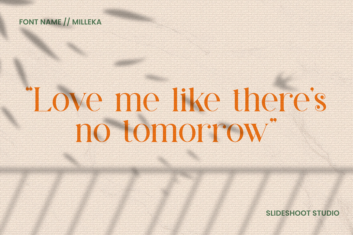 Milleka || Decorative Serif Font, a Serif Font by Idea Studio (Photo 2 of 10)