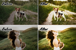 Before/After Photo Effect