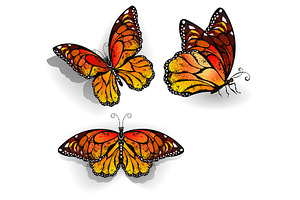 Set Of Orange Butterflies Monarchs