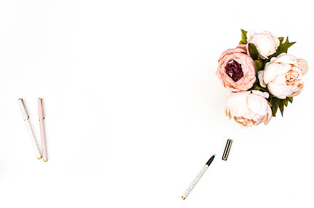 Styled Stock Photography Succulents, a Photo by Gorgeous Graphics