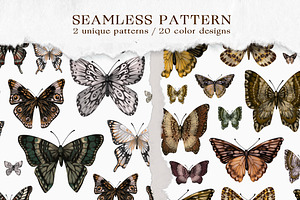 Butterflies SET And Patterns