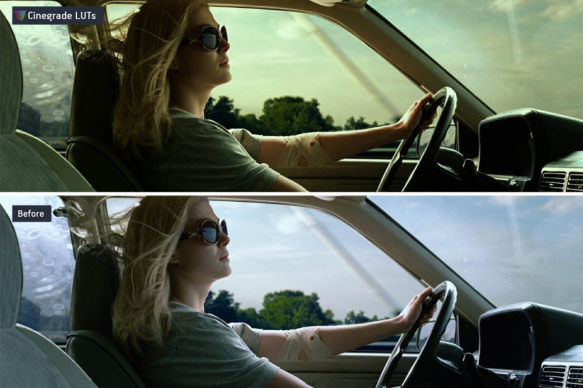 CineGrades LUTs v.4 – Cinematic LUTs, a Preset Add-On by CineMart (Photo 4 of 8)