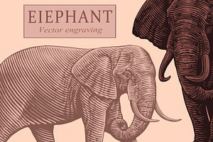 Design set Elephant.Vector engraving