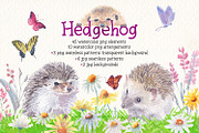 Hedgehog watercolor clipart, an Illustration by Art & Things (Thumbnail 1 of 7)